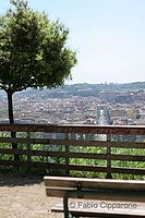 IMG_0501.jpg