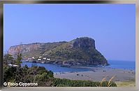IMG_4319.jpg