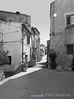 Filename=IMG_4226 bw.jpg
Filesize=101KiB
Dimensions=768x1024
Date added=Oct 05, 2004 IMG_4226 bw.jpg