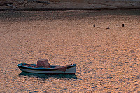 IMG_1430_da_raw_45sharp.jpg