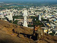 DSCF1482.jpg