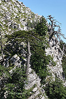 Filename=IMG_0925_v2.jpg
Filesize=414KiB
Dimensions=683x1024
Date added=Sep 25, 2006 IMG_0925_v2.jpg
