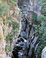 Filename=IMG_1150_v2.jpg
Filesize=452KiB
Dimensions=816x1024
Date added=Sep 29, 2006 IMG_1150_v2.jpg