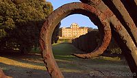 IMG_2697.jpg