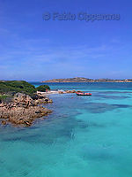 Filename=isola di razzoli - piscine naturali.jpg
Filesize=112KiB
Dimensions=600x800
Date added=Jul 30, 2005 isola di razzoli - piscine naturali.jpg