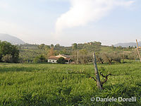 campagna-sabina.jpg