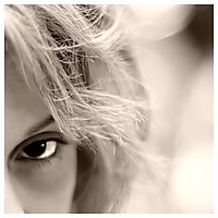 Filename=29218.jpg
Filesize=185KiB
Dimensions=640x640
Date added=Oct 13, 2006 29218.jpg
